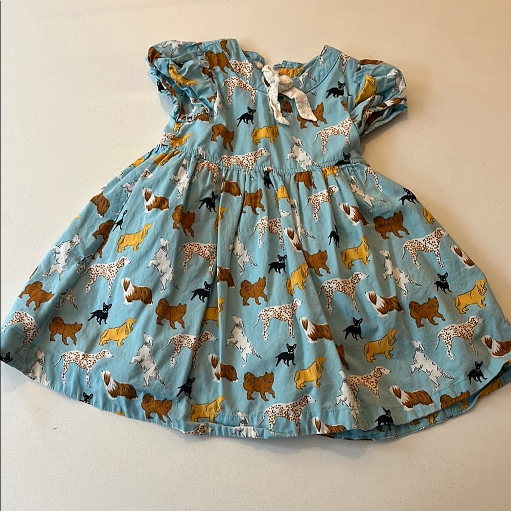 Pink Chicken girls Dress with Animal Print - Blue and Brown